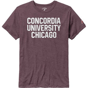 Victory Falls Tee | Heather Maroon